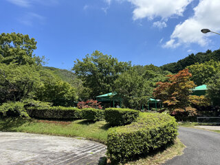 003EB747-715B-4D3A-A8FF-FA9670B9104Da.jpg