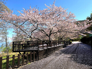 image7g.jpg