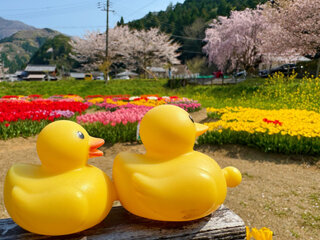 IMG_6380f.jpg