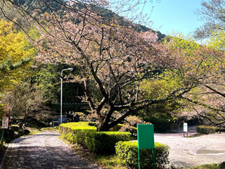 image3c.jpg