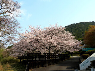 IMG_7291b.jpg