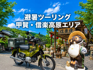 BF132BD5-2BBB-42D8-855C-6F7908B33288a.jpg