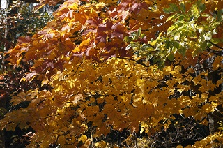 滋賀の最高峰へ 伊吹山ドライブウェイ 2 3 カイザーベルク びわ湖 ツーリングをサポートするレッドバロン