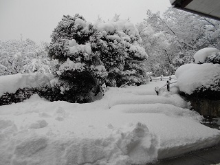 DSCN3380.JPG
