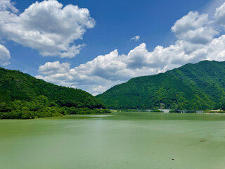 IMG_0410l.jpg