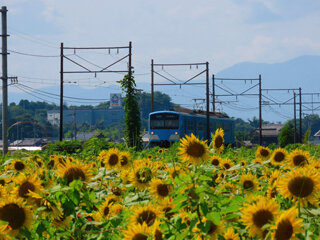 IMG_0506b.jpg