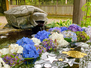 IMG_0524b.jpg