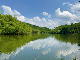 IMG_0780g.jpg