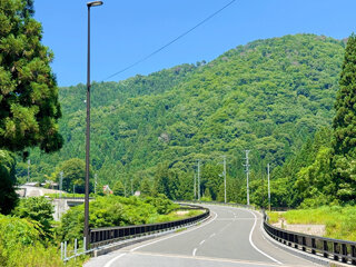 IMG_1038k.jpg