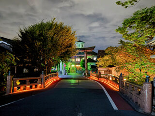 IMG_1156b.jpg
