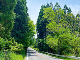 IMG_1211e.jpg