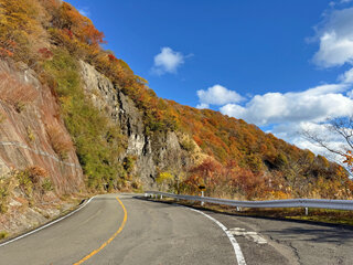 IMG_1319b.jpg