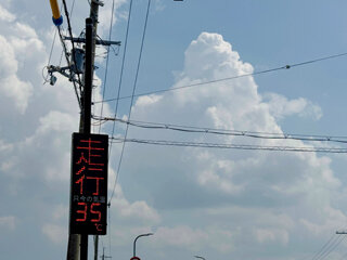 IMG_1438c.jpg
