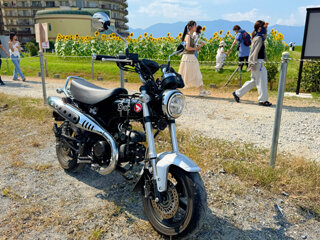 IMG_1444e.jpg