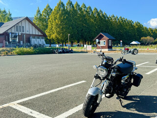 IMG_1492c.jpg