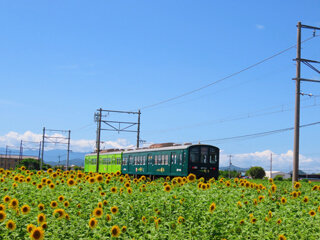 IMG_1662j.jpg