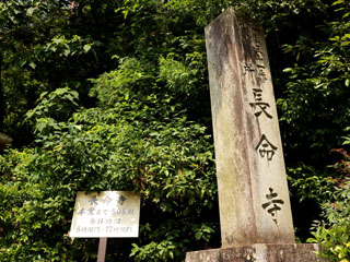 IMG_1771g.jpg