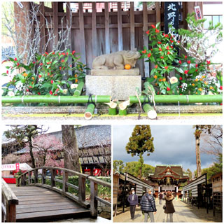 丑年なら行かねば!撫牛を撫でて諸病平癒と学問成就の京都・北野 丑年なら行かねば!撫牛を撫でて諸病平癒と学問成就の京都・北野