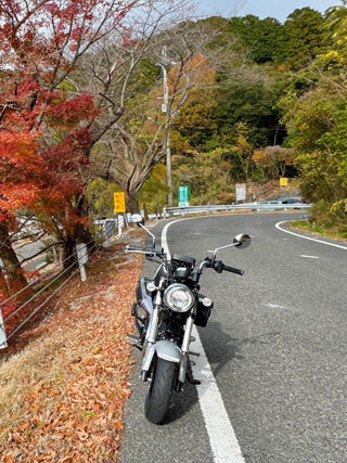 IMG_2242l.jpg