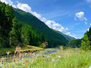 IMG_2262b.jpg