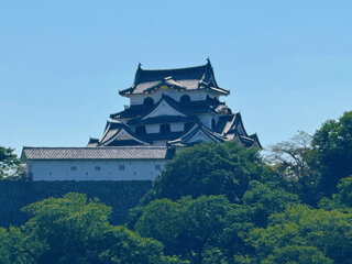 IMG_2738b.jpg