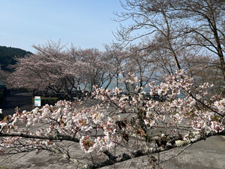 IMG_3028f.jpg