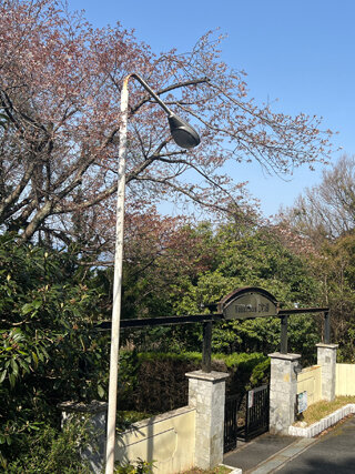 IMG_3029g.jpg