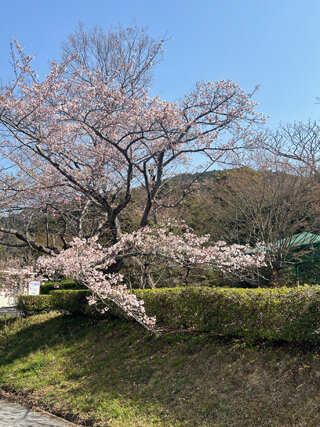 IMG_3030h.jpg