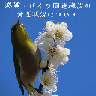 IMG_3819a.jpg