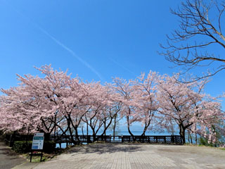 IMG_4697a.jpg