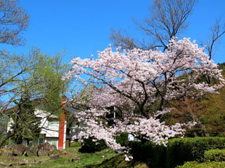 IMG_4706g.jpg