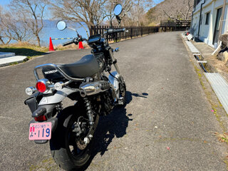 IMG_5009e.jpg