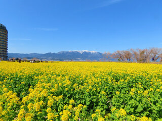 IMG_5012g.jpg