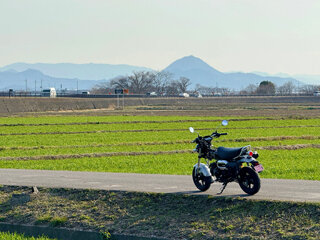 IMG_5023n.jpg