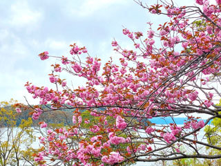 IMG_5050a.jpg