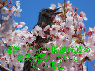IMG_5220a.jpg