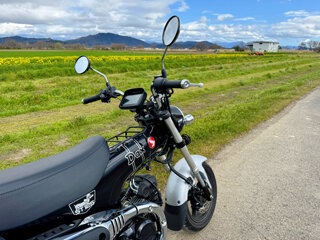 IMG_5662e.jpg