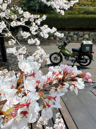 IMG_5723a.jpg