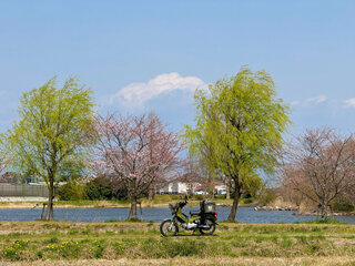 IMG_5839 Copyg.jpg