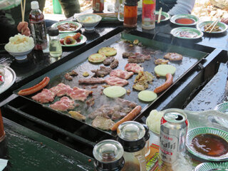 IMG_5853a.jpg