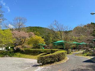 IMG_6218f.jpg