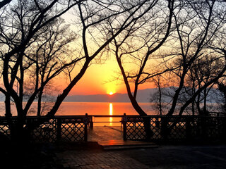 IMG_6253f.jpg