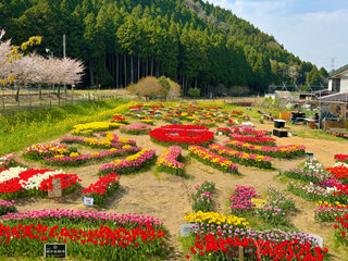 IMG_6401m.jpg
