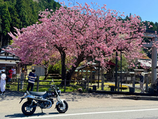 IMG_6539a.jpg