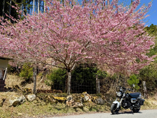 IMG_6638l.jpg