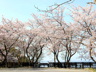 IMG_6746d.jpg