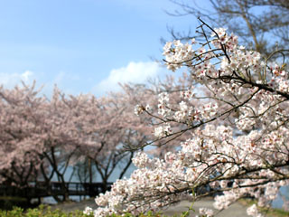 IMG_6748f.jpg