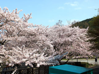 IMG_6749g.jpg