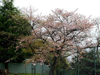 IMG_6797b.jpg