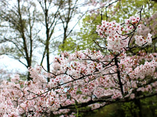 IMG_6804f.jpg